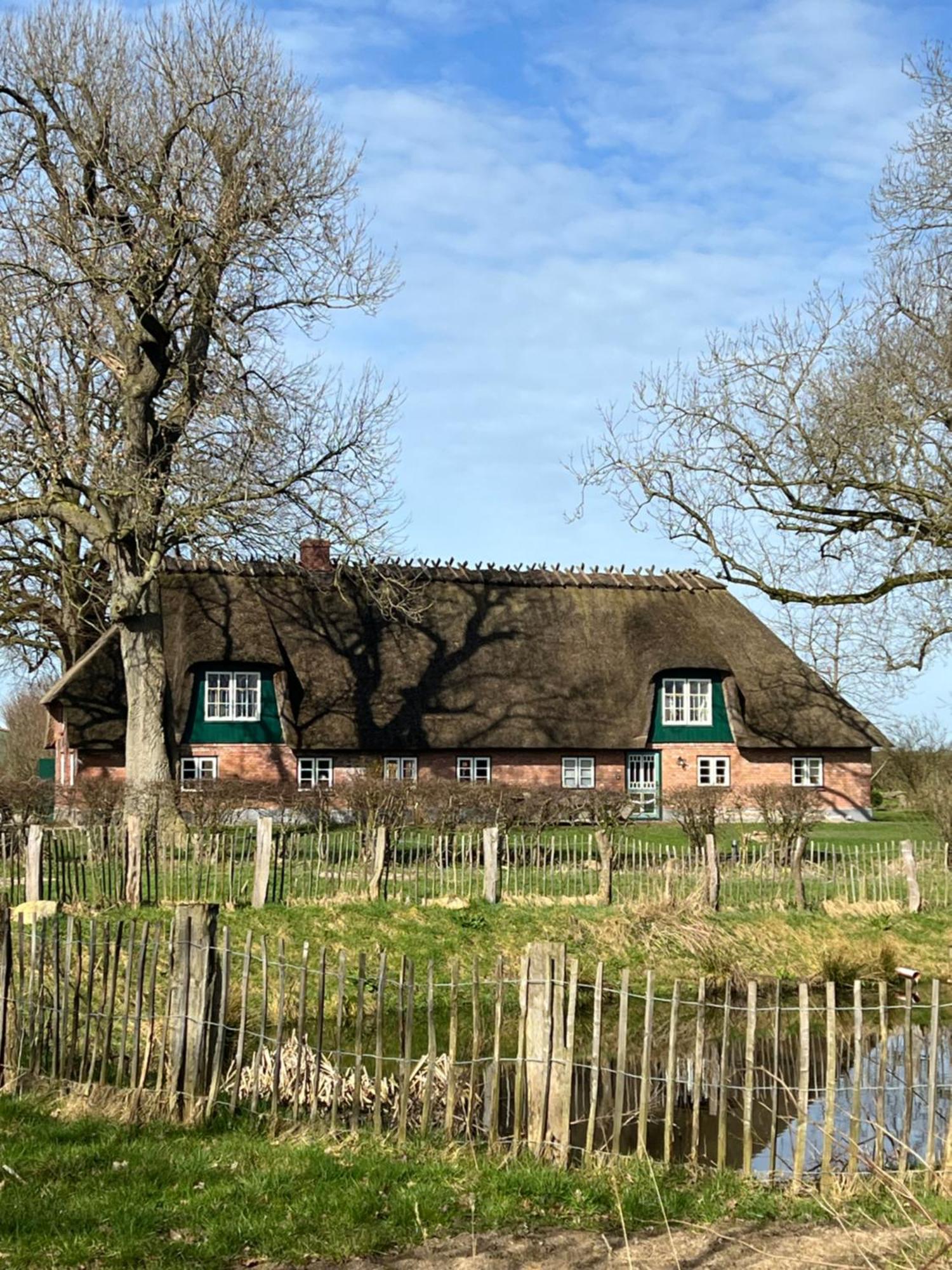 Appartamento Hof Osterfeld Mittelangeln Esterno foto
