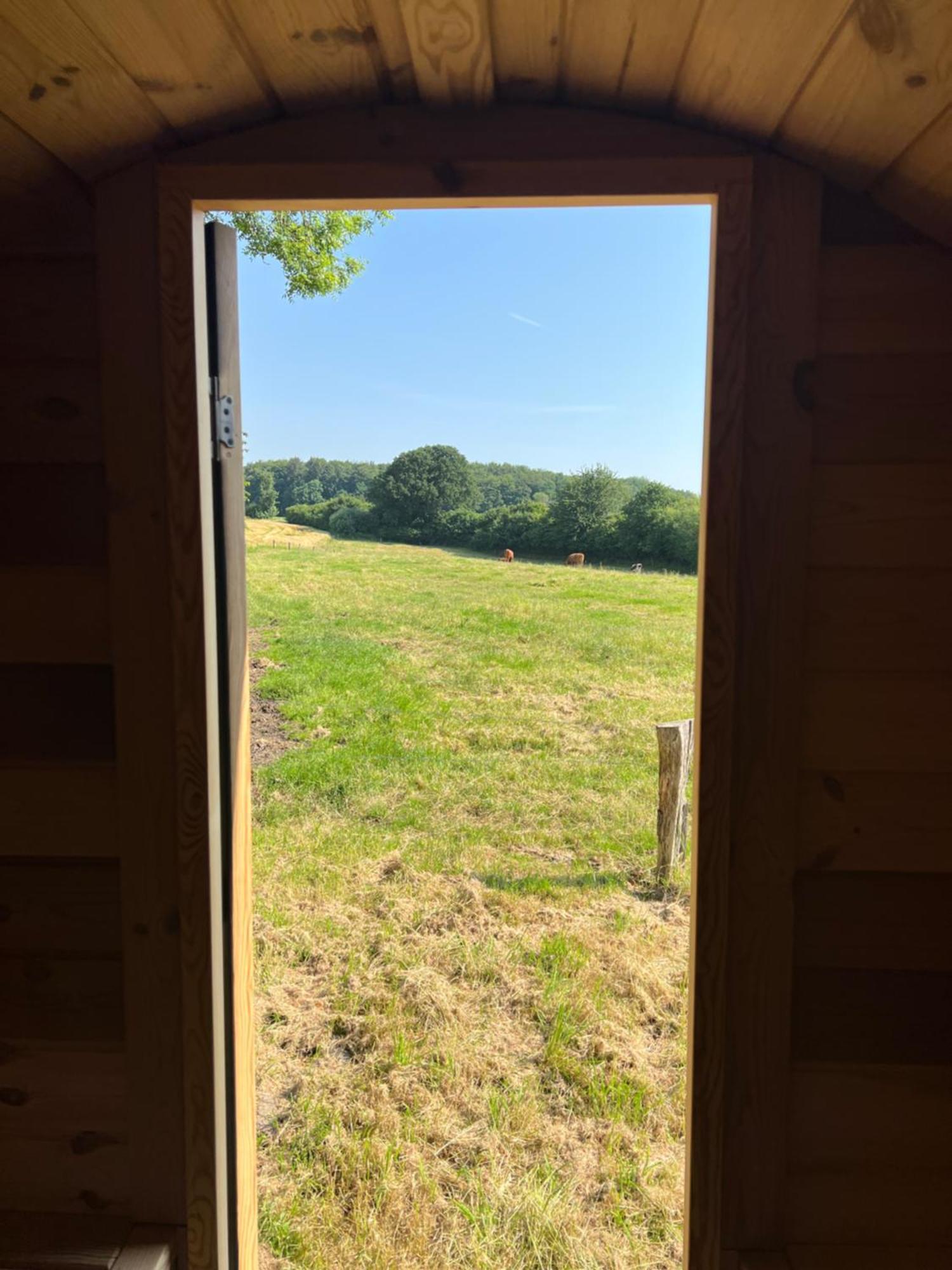 Appartamento Hof Osterfeld Mittelangeln Esterno foto